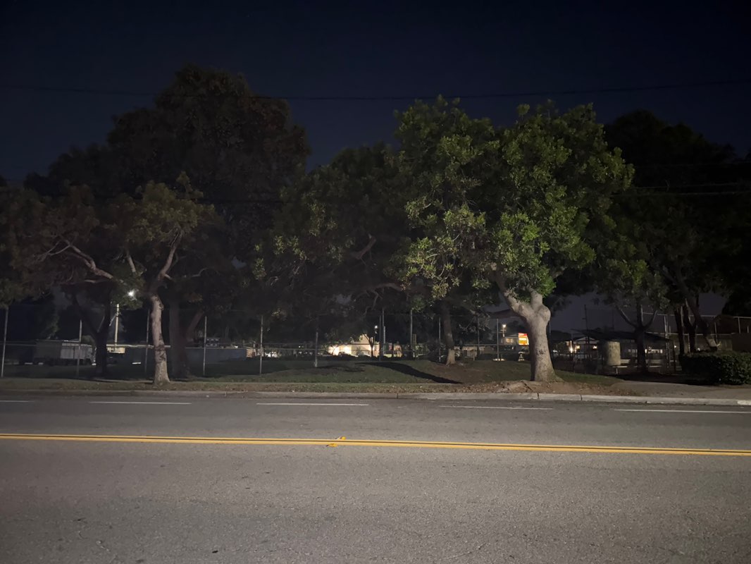 walking near me in Chase Field in autumn
