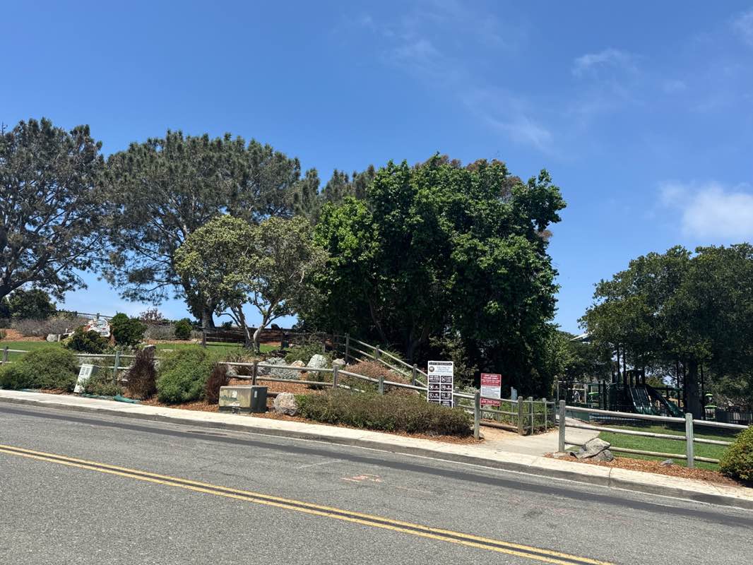walking near me in Encinitas Viewpoint Park in autumn