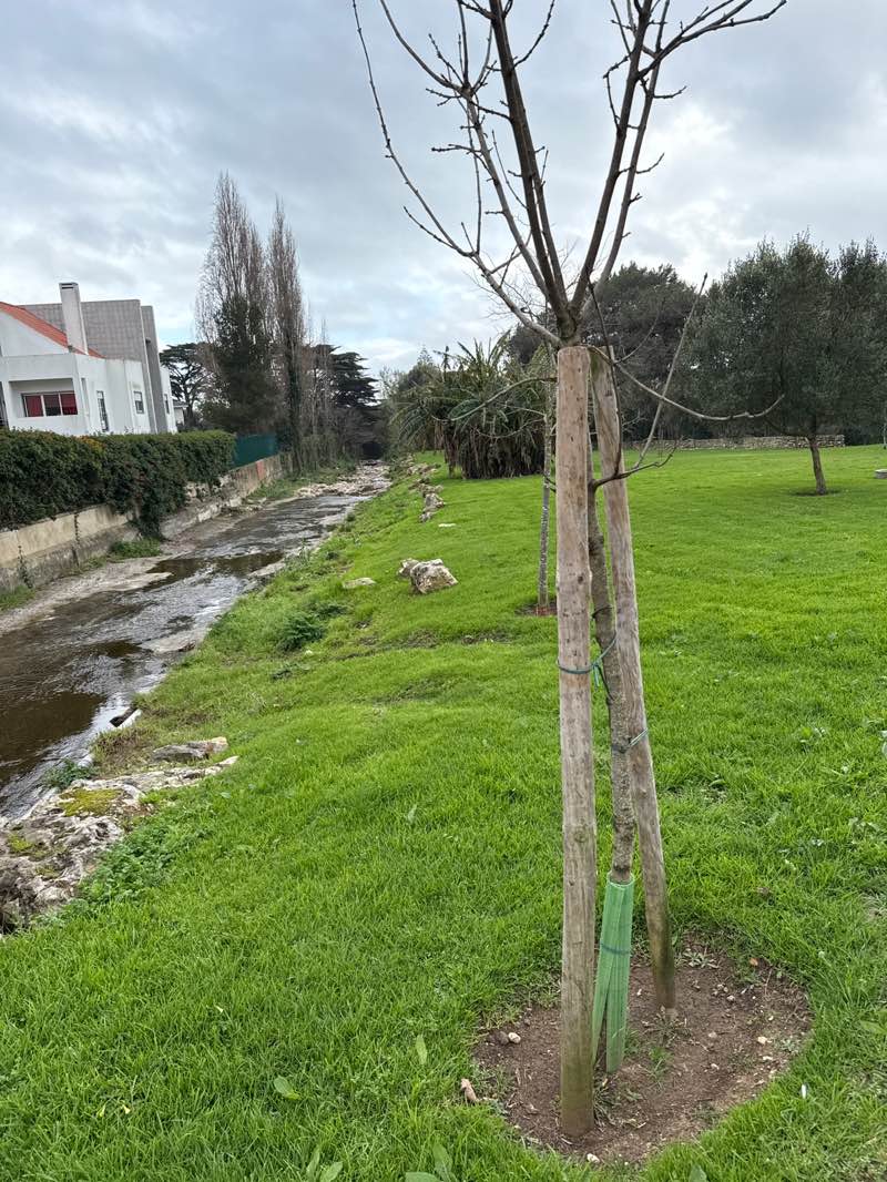 walking near me in Jardim do Junqueiro - Espaços Verdes in winter