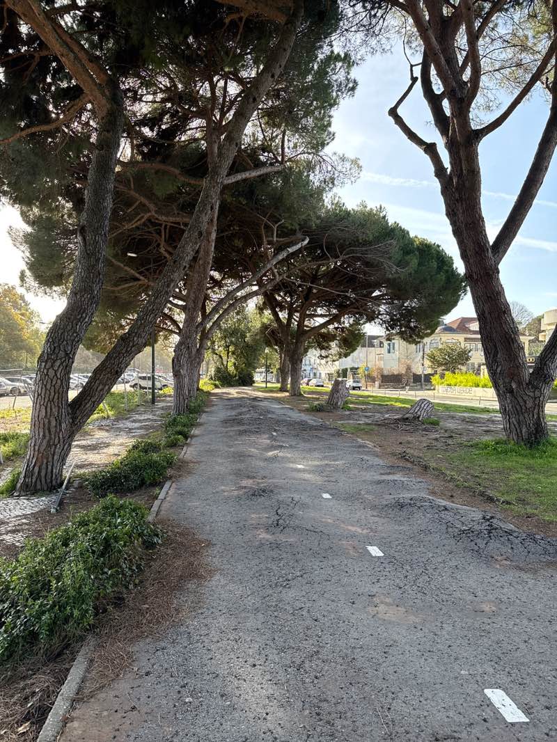walking near me in Talhão in winter