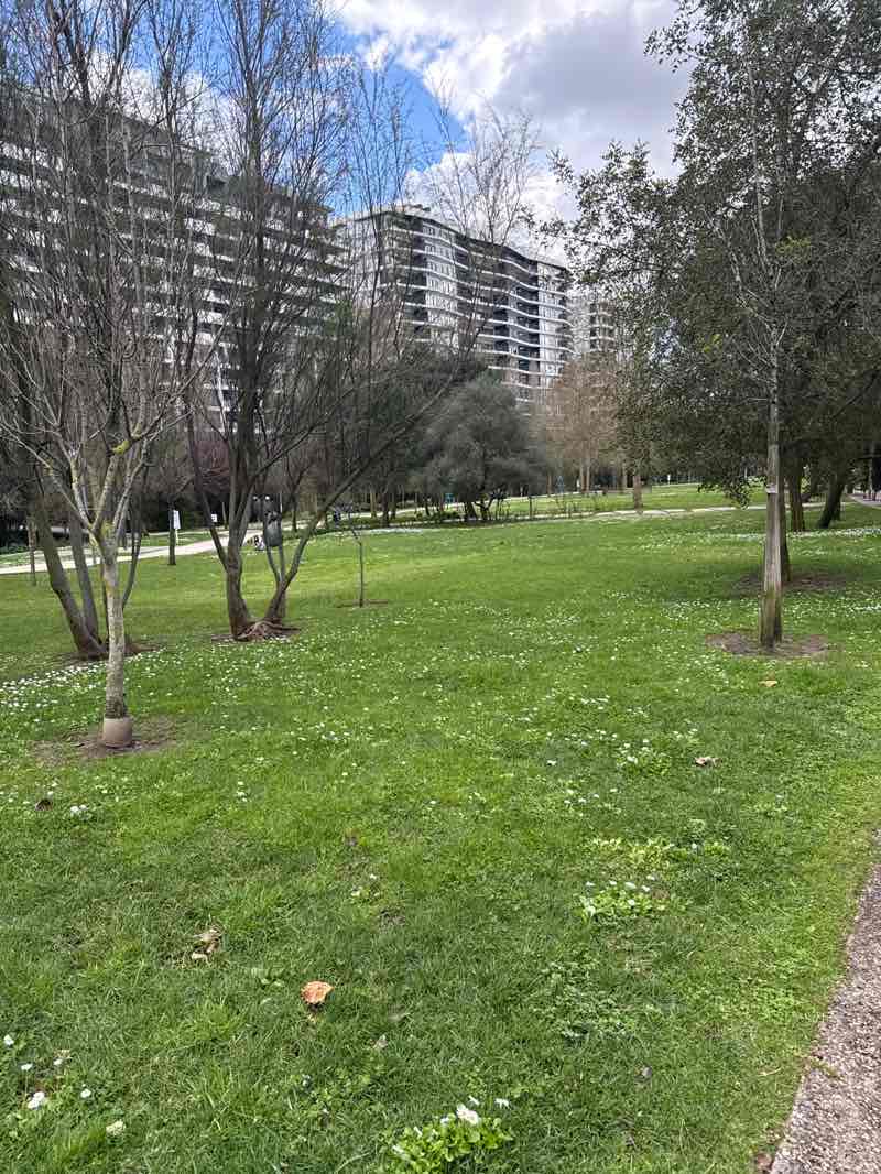 walking near me in Parque Urbano de Miraflores in spring