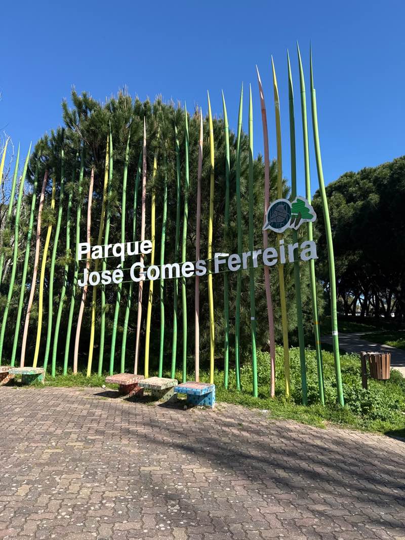 walking near me in Parque José Gomes Ferreira in spring