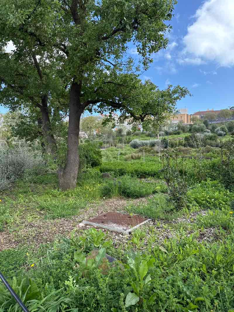 walking near me in Parque Gonçalo Ribeiro Telles in spring