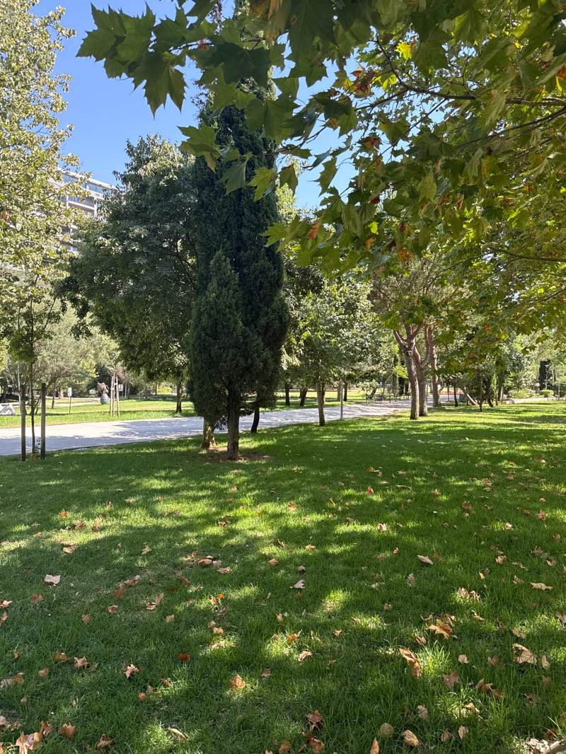 walking near me in Parque Urbano de Miraflores in autumn