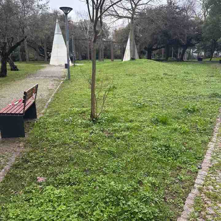 pacerguy1957✌️🏃‍♂️🔥🔥🔥💥 post 1