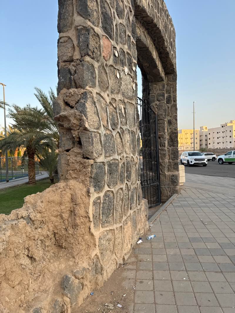 walking near me in Al Aswaf Garden in winter