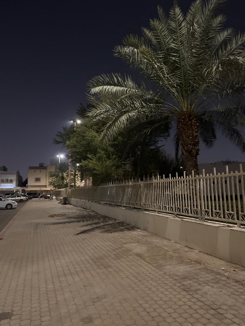 walking near me in Nasim Park in winter