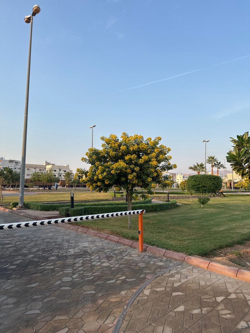 walking near me in Train Station "Istasyun" in winter