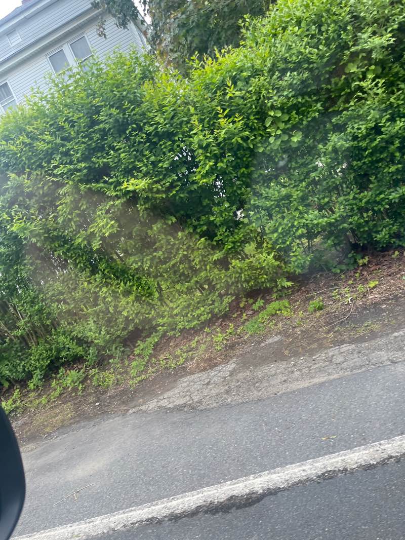 walking near me in Mill Villages Park in spring