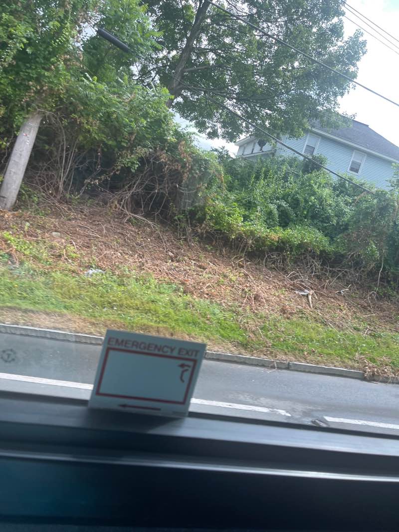 walking near me in Clapp Park in autumn