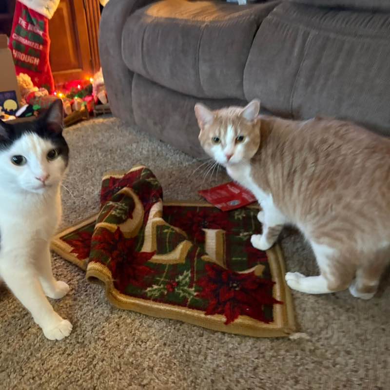 Walk Away the Pounds Julie 🧜‍♀️ post image