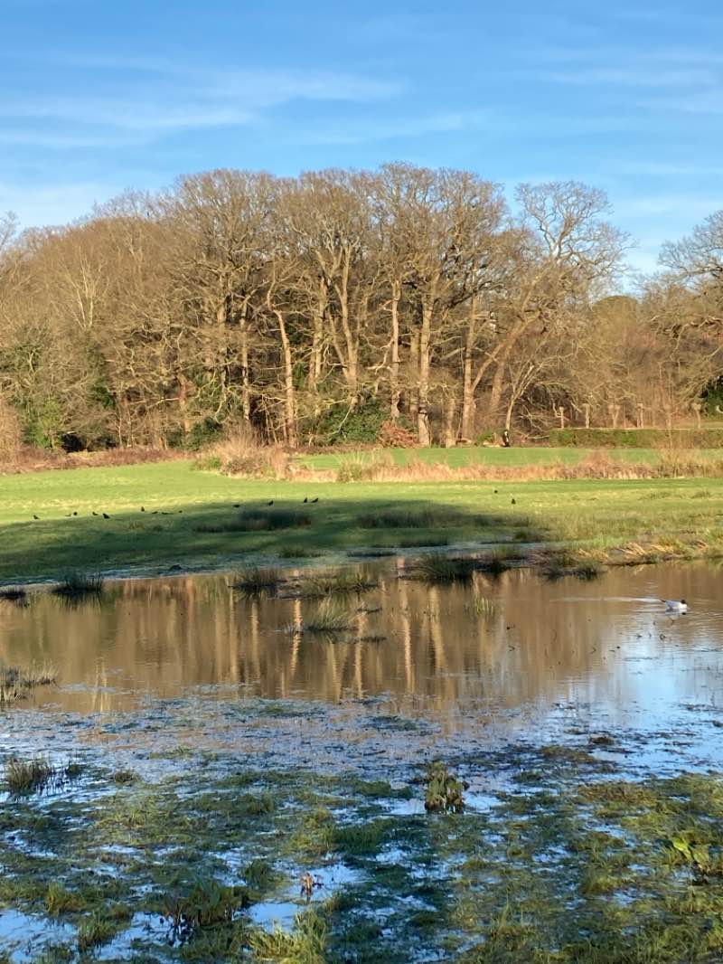 walking near me in Oak Hill Park in winter