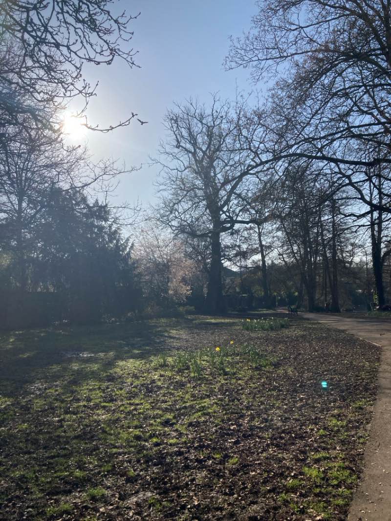 walking near me in Greenhill Gardens in spring