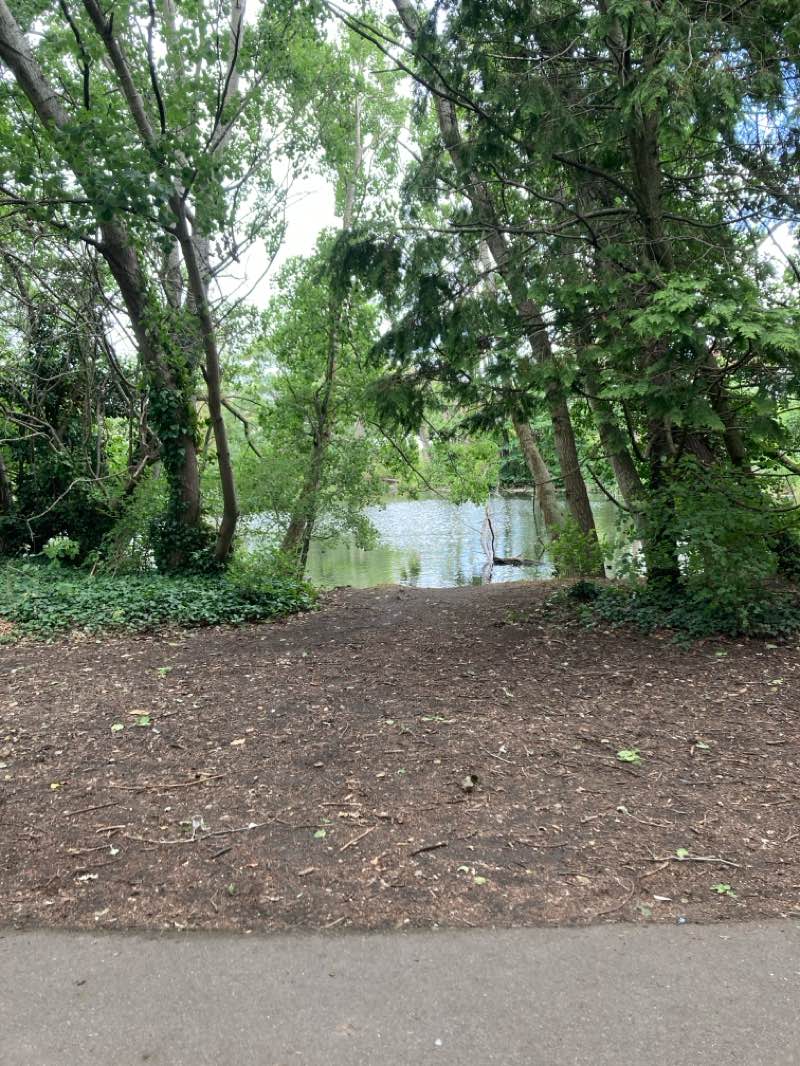 walking near me in Greenhill Gardens in summer