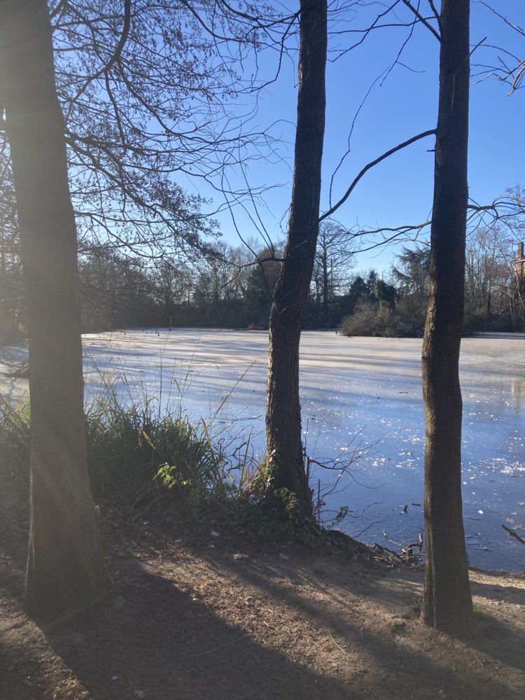 walking near me in Greenhill Gardens in winter