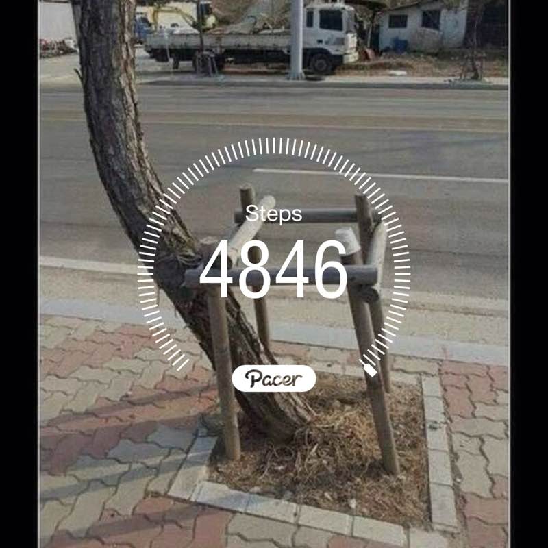 Dr Mubarak Mehdi post 1