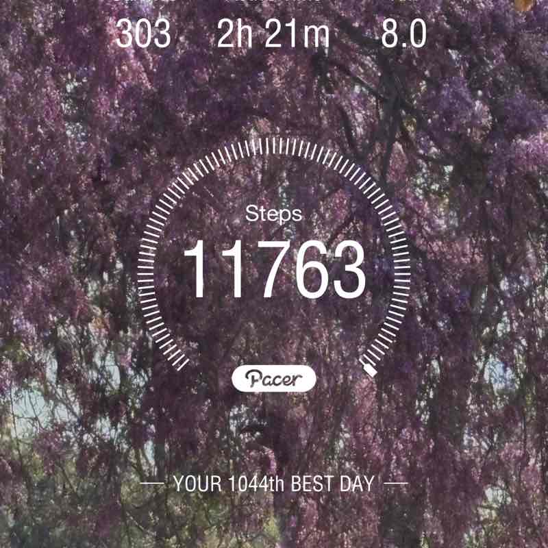 Dr Mubarak Mehdi post 1