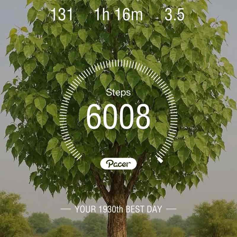 Dr Mubarak Mehdi post 1