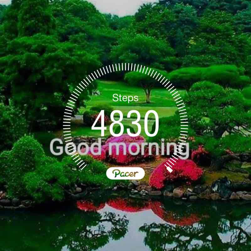 Dr Mubarak Mehdi post 1