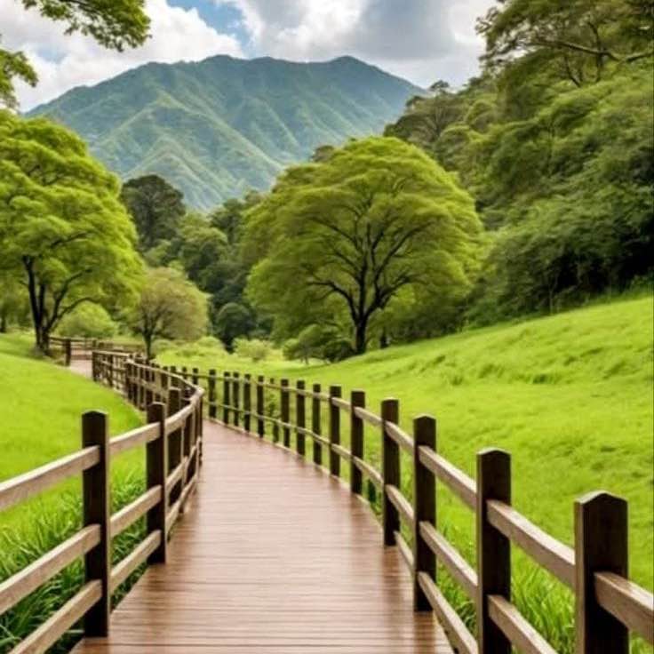 Dr Mubarak Mehdi post 3