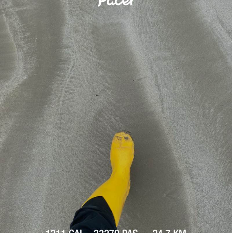 OZZY     ☕️🍋🌴 post 1