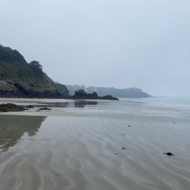 OZZY     ☕️🍋🌴 post 2