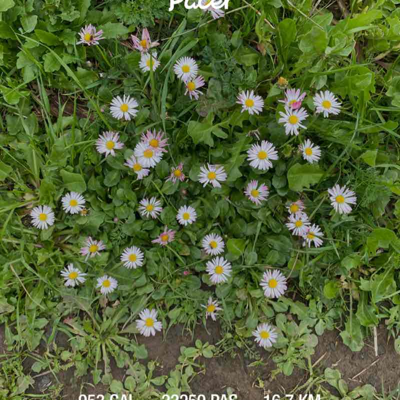 OZZY     ☕️🍋🌴 post 1