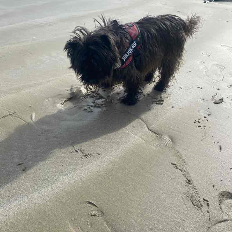 OZZY     ☕️🍋🌴 post 3