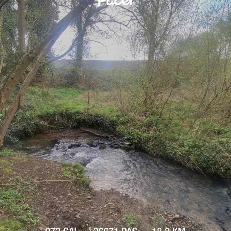 OZZY     ☕️🍋🌴 post 1