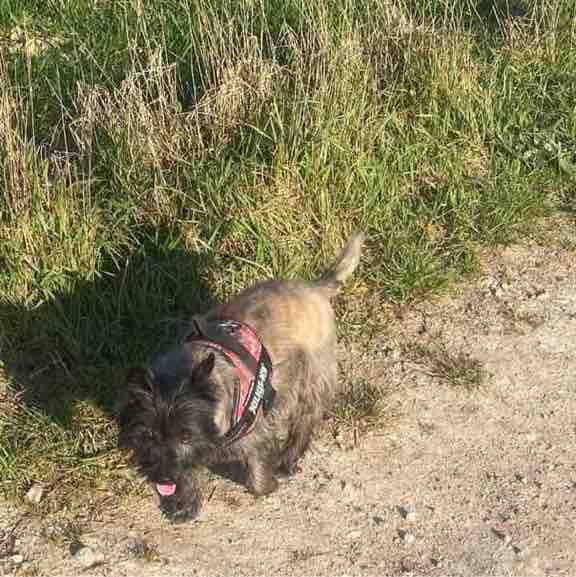 OZZY     ☕️🍋🌴 post 2