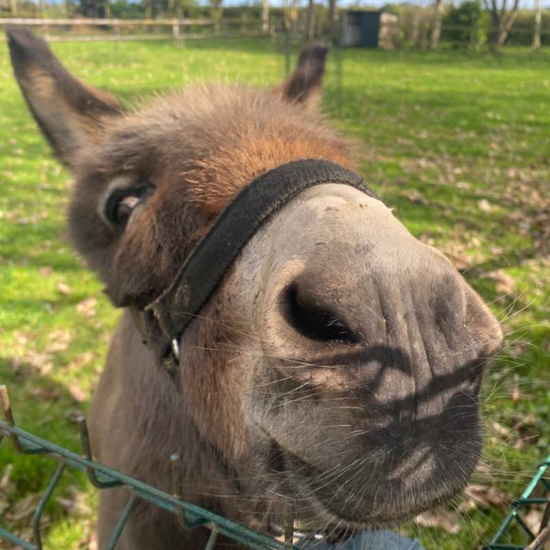 OZZY     ☕️🍋🌴 post 3