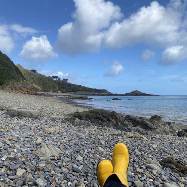 OZZY     ☕️🍋🌴 post 2