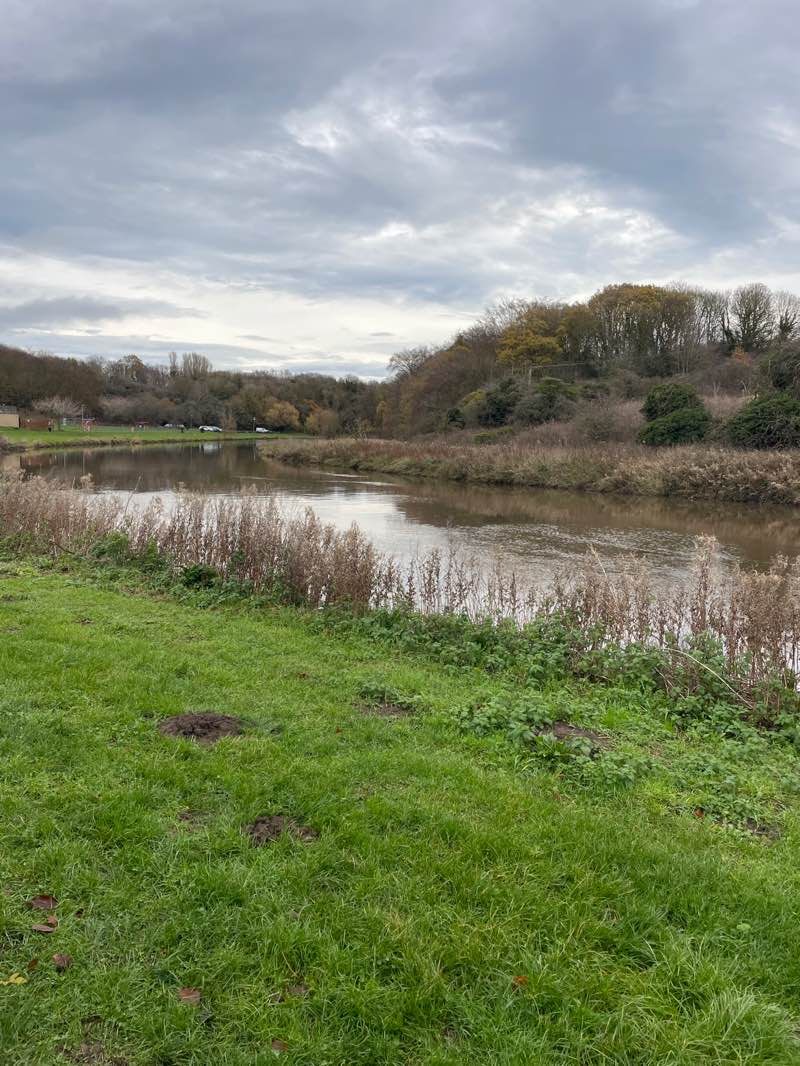 walking near me in Riverside Park in autumn