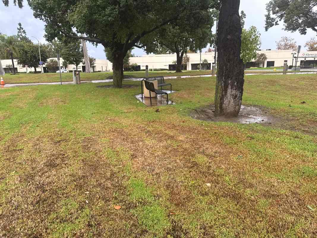 walking near me in Soaring Dreams Plaza in autumn