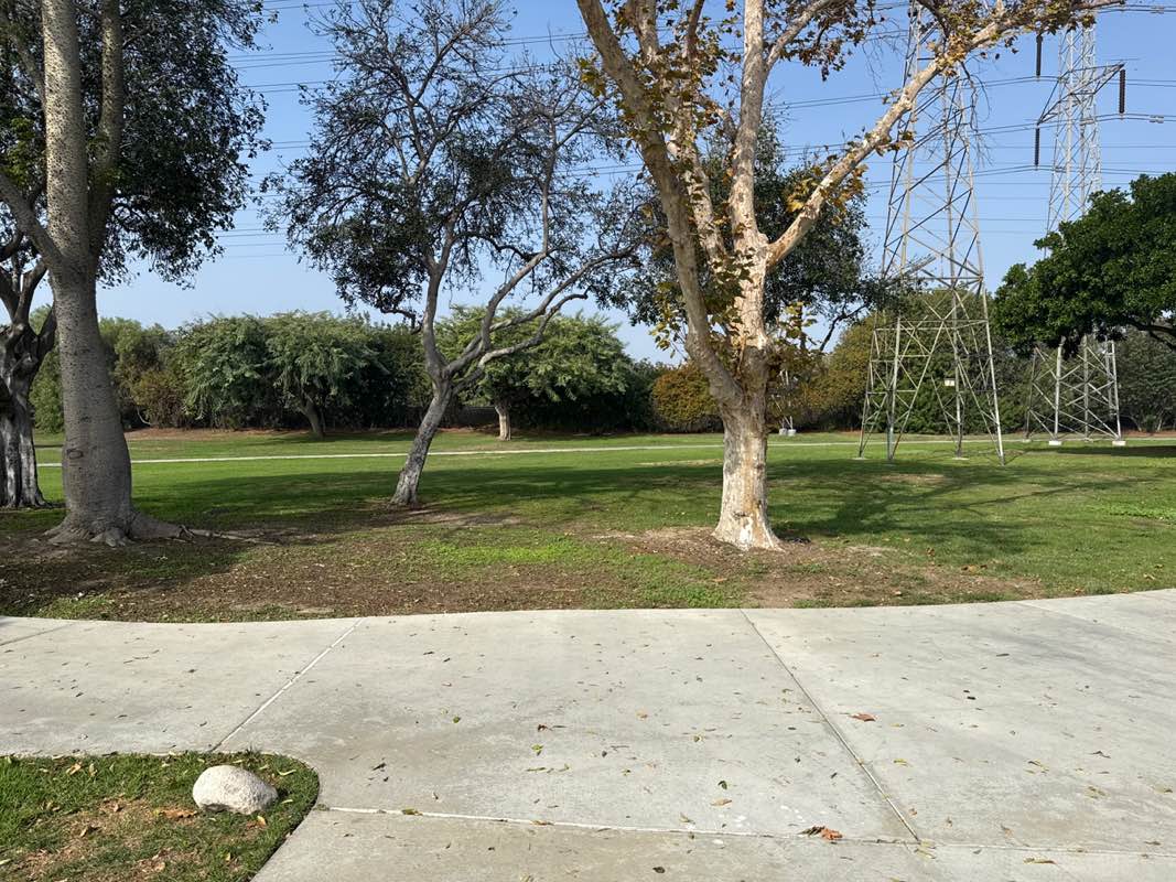 walking near me in Wilderness Park in autumn