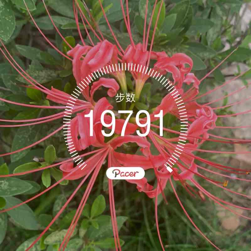 奔驰的木马 post 1