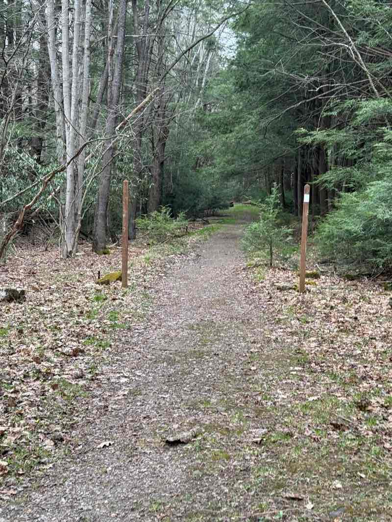 walking near me in New Germany State Park in spring