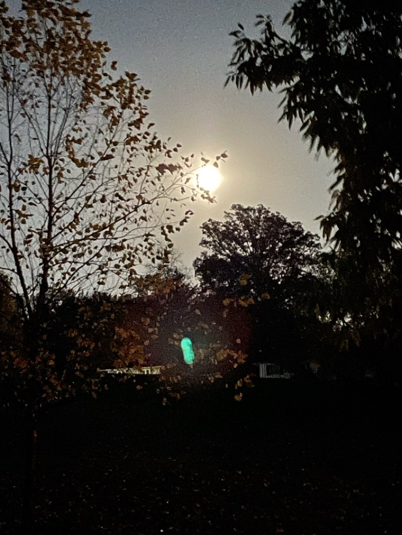 walking near me in Park Boulevard Park in autumn