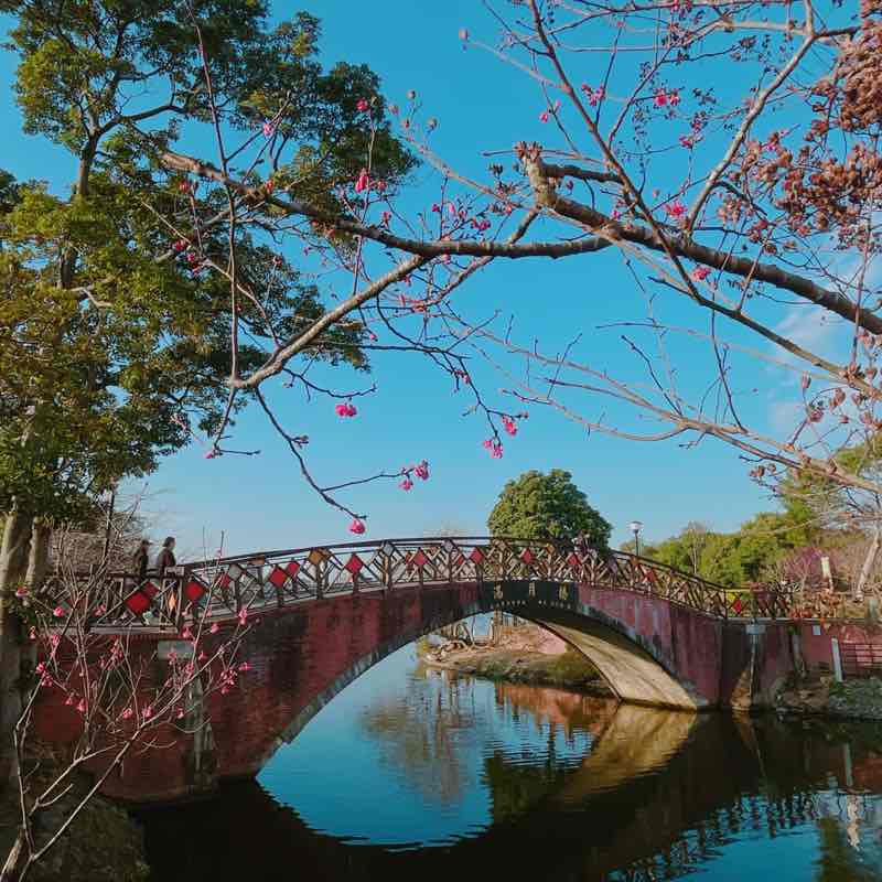 別餵大腦喝髒水 post 3