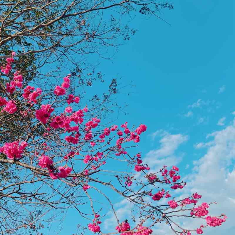 別餵大腦喝髒水 post 2