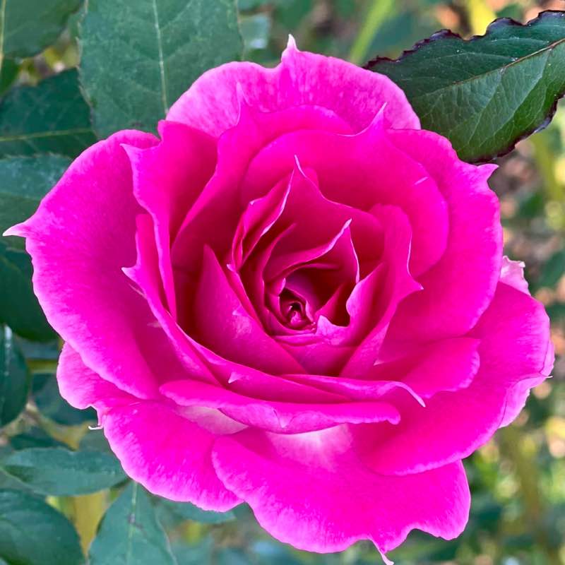 別餵大腦喝髒水 post 1