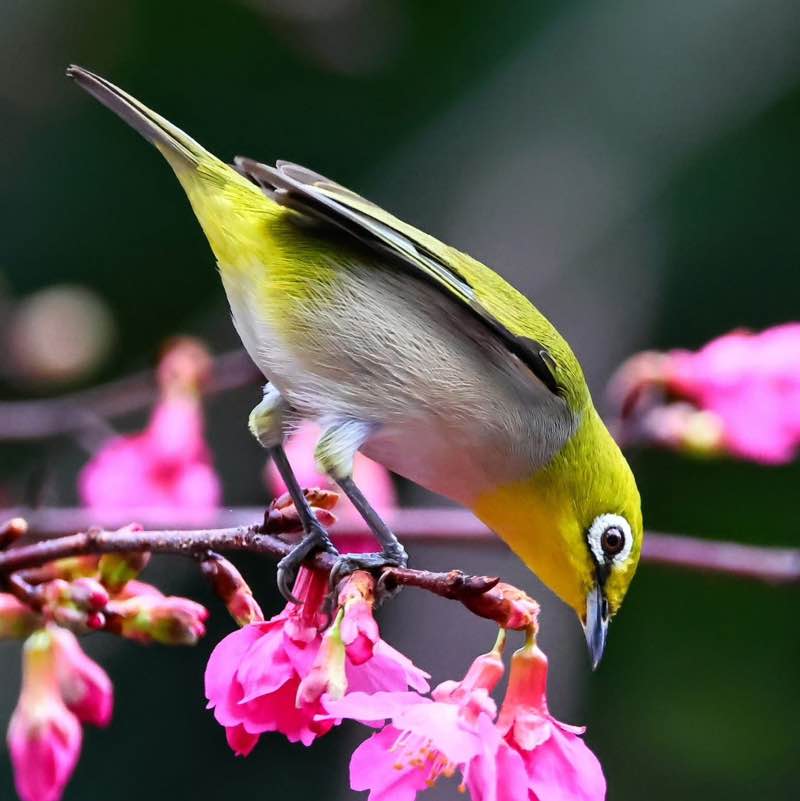 別餵大腦喝髒水 post 1