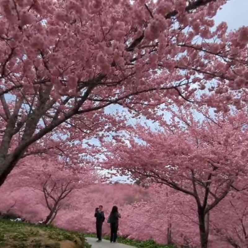 別餵大腦喝髒水 post 1