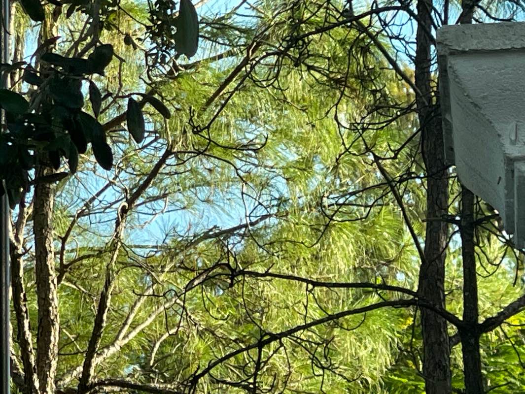 walking near me in Saint George Park in autumn