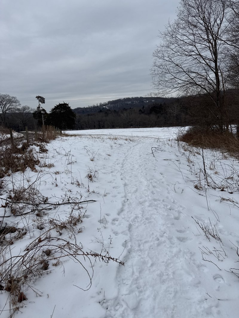 walking near me in Platt Farm Park in winter