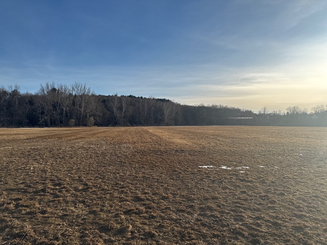 walking near me in Strong Meadow Preserve in spring