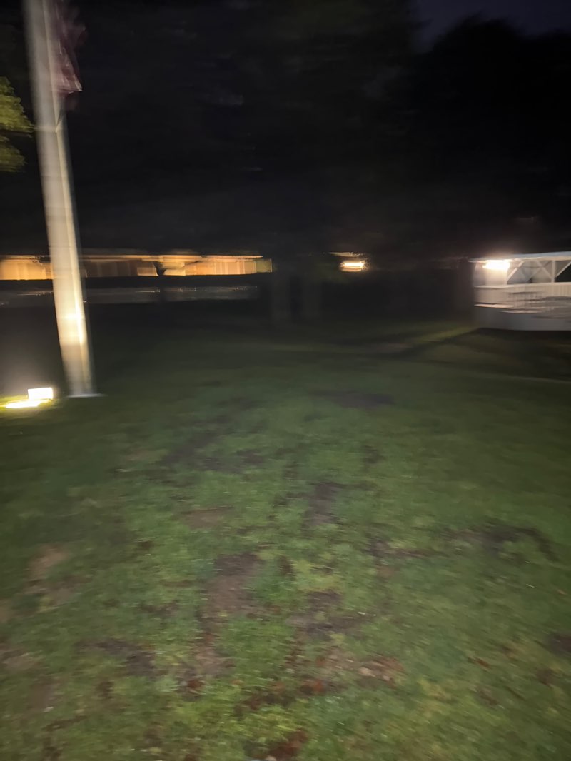 walking near me in Kate Gould Park in summer