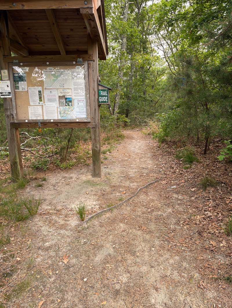 walking near me in D. Isabel Smith Monomoy River Conservation Lands in summer