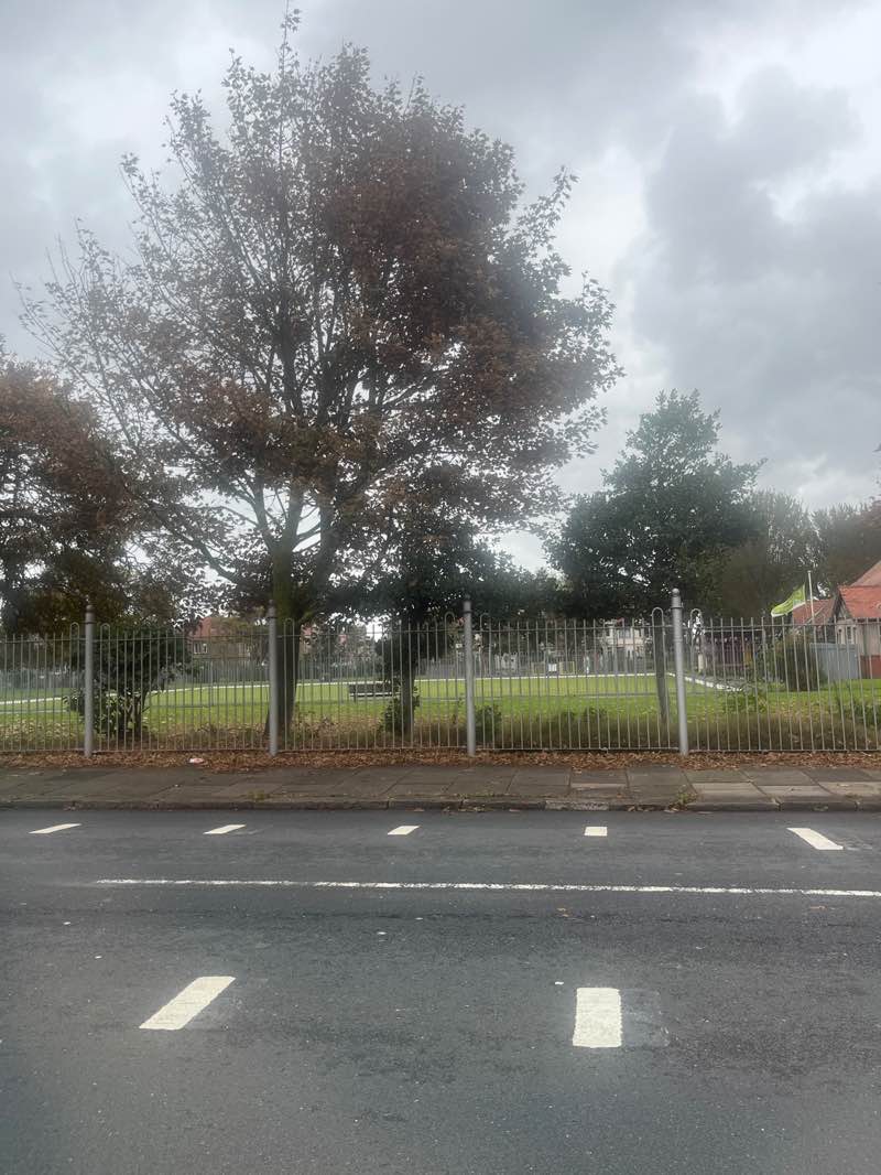 walking near me in Regent Park in autumn