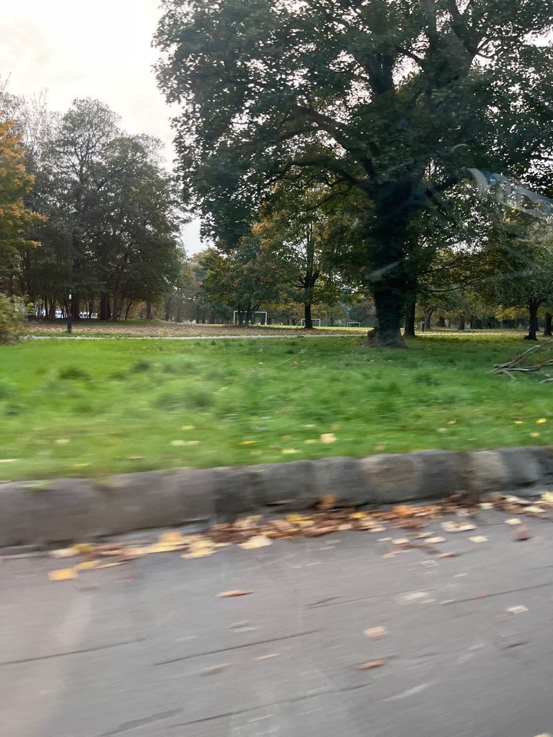 walking near me in Ryelands Park in autumn